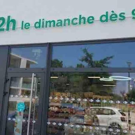 Toulouse Vaste Appartement Tres Lumineux Zewnętrze zdjęcie