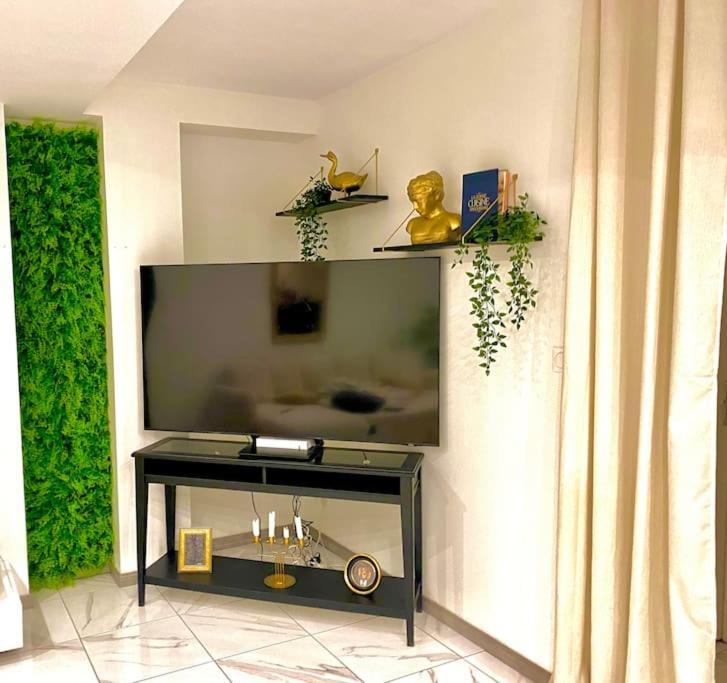 Toulouse Vaste Appartement Tres Lumineux Zewnętrze zdjęcie