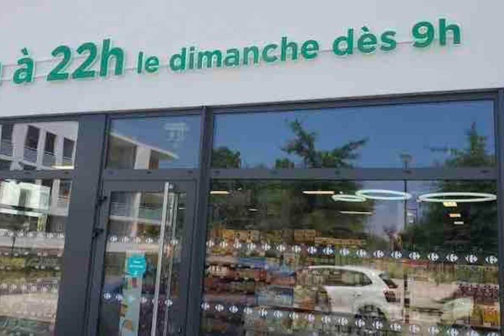 Toulouse Vaste Appartement Tres Lumineux Zewnętrze zdjęcie